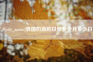 宁阳我国的消防日是多少月多少日
