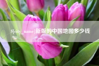 宁阳新版的中国地图多少钱