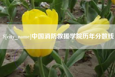 宁阳中国消防救援学院历年分数线