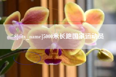 宁阳5000米长跑国家运动员