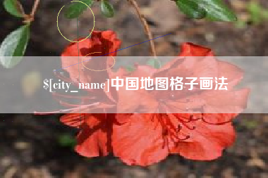 宁阳中国地图格子画法