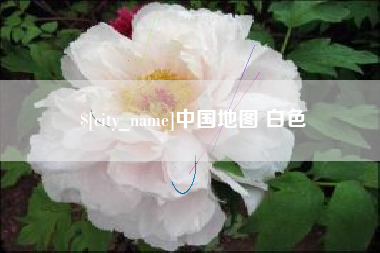 宁阳中国地图 白色
