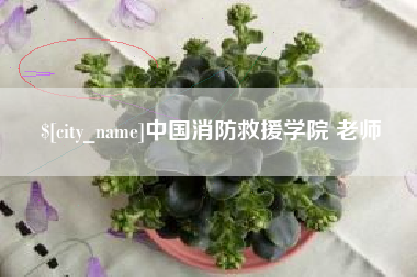 宁阳中国消防救援学院 老师