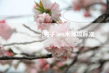 宁阳男子5000米等级标准