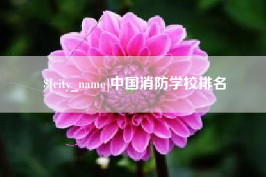 宁阳中国消防学校排名
