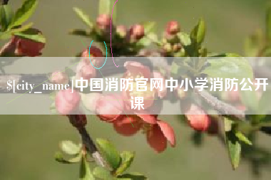 宁阳中国消防官网中小学消防公开课