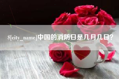 宁阳中国的消防日是几月几日？