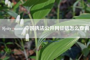 宁阳中国执法公开网征信怎么查询