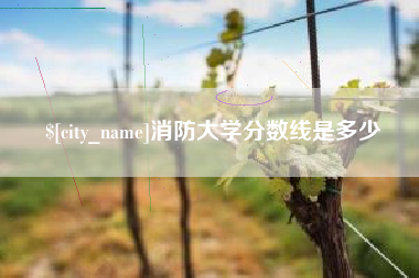 宁阳消防大学分数线是多少