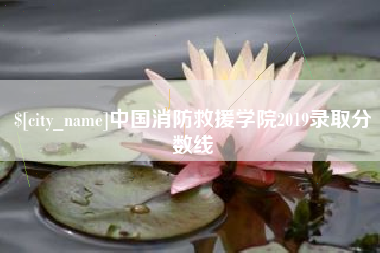 宁阳中国消防救援学院2019录取分数线