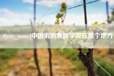 宁阳中国消防救援学院在那个地方