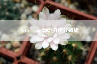 宁阳2021消防分数线