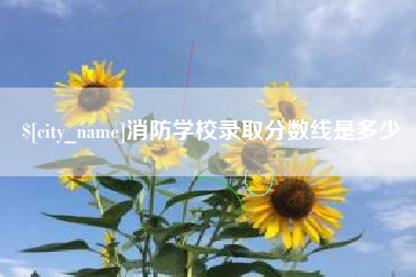 宁阳消防学校录取分数线是多少
