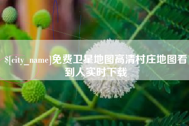 宁阳免费卫星地图高清村庄地图看到人实时下载