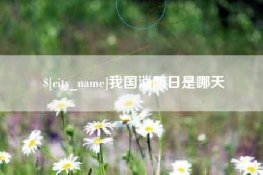 宁阳我国消防日是哪天