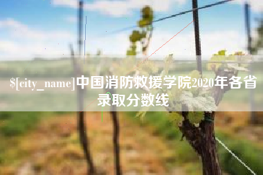 宁阳中国消防救援学院2020年各省录取分数线