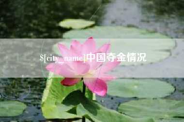 宁阳中国夺金情况