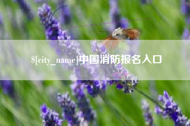 宁阳中国消防报名入口