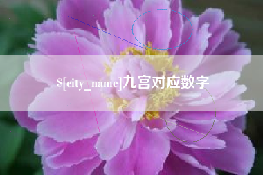 宁阳九宫对应数字