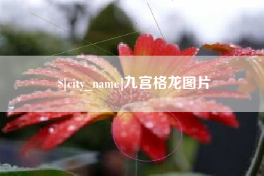 宁阳九宫格龙图片