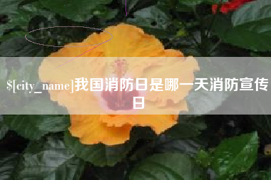 宁阳我国消防日是哪一天消防宣传日