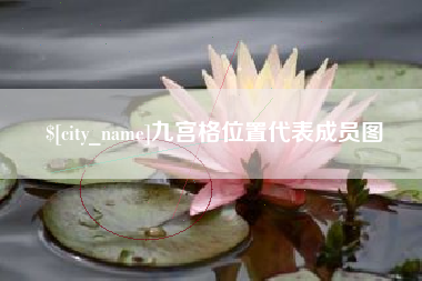 宁阳九宫格位置代表成员图