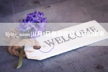 宁阳11月9日是消防安全日的由来