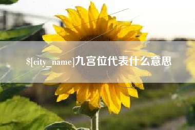 宁阳九宫位代表什么意思