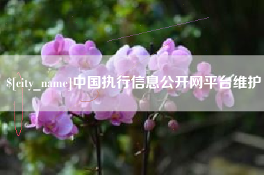 宁阳中国执行信息公开网平台维护