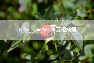 宁阳5000米及格成绩