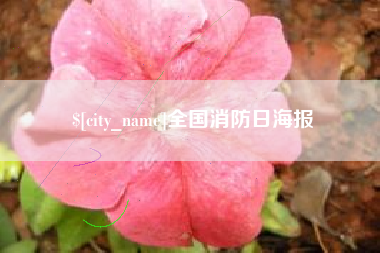 宁阳全国消防日海报