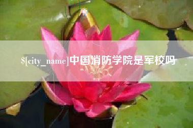 宁阳中国消防学院是军校吗