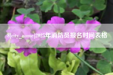 宁阳2025年消防员报名时间表格