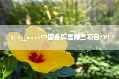 宁阳中国金牌是哪些项目2021
