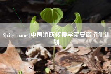 宁阳中国消防救援学院安徽招生计划