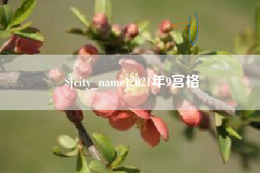 宁阳2021年9宫格