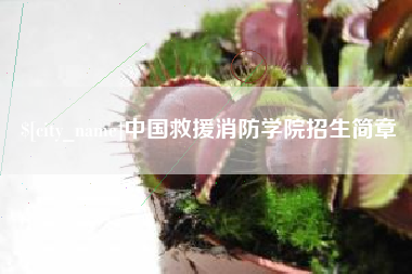 宁阳中国救援消防学院招生简章