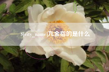 宁阳九金指的是什么