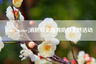 宁阳消防日全国消防日主题活动