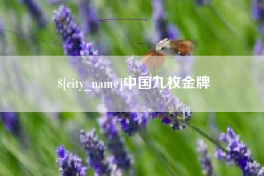 宁阳中国九枚金牌