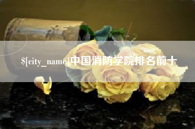宁阳中国消防学院排名前十