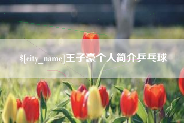 宁阳王子豪个人简介乒乓球