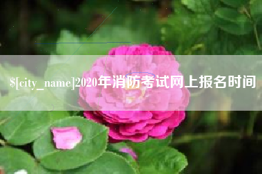 宁阳2020年消防考试网上报名时间