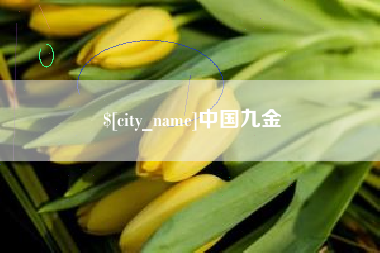 宁阳中国九金