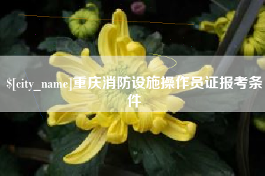 宁阳重庆消防设施操作员证报考条件