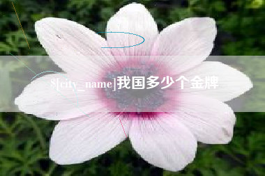 宁阳我国多少个金牌