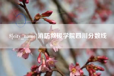 宁阳消防救援学院四川分数线