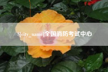 宁阳全国消防考试中心