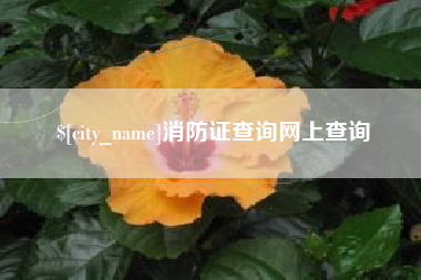 宁阳消防证查询网上查询