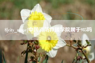 宁阳中国消防救援学院属于985吗